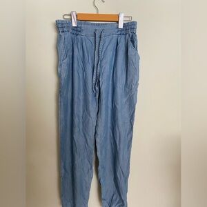 Aritzia Tulula Denim Joggers